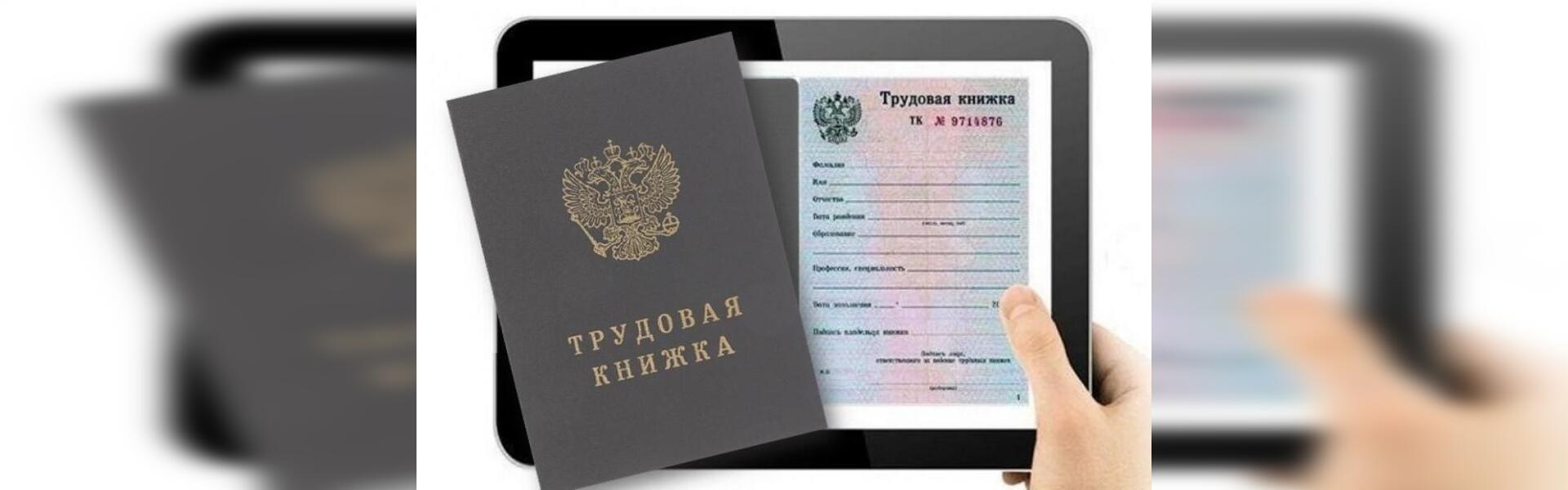 Как выглядит трудовая в электронном виде