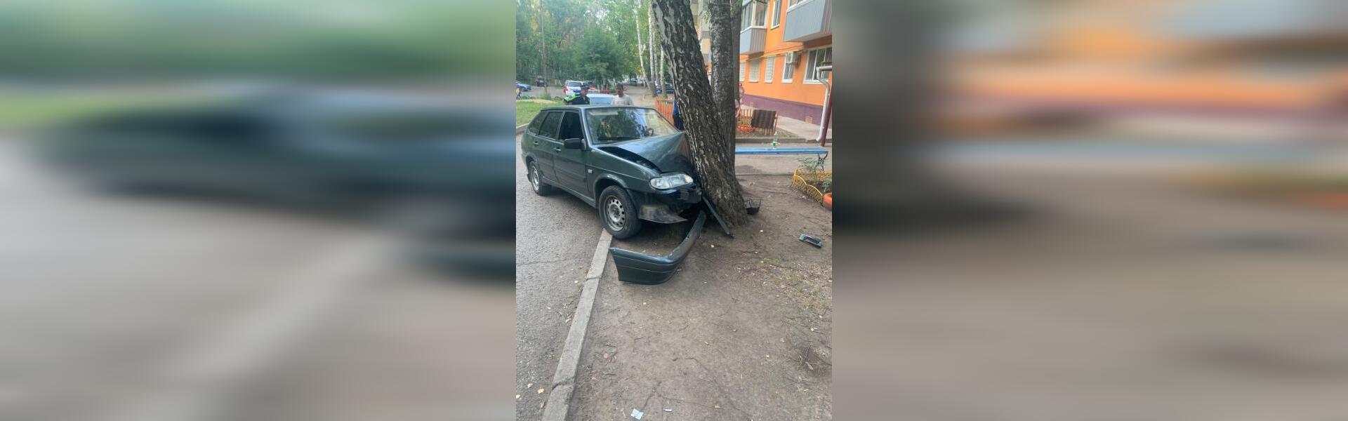 Водители VS деревья: еще один гонщик попытался снести березу - «Вести  КАМАЗа»